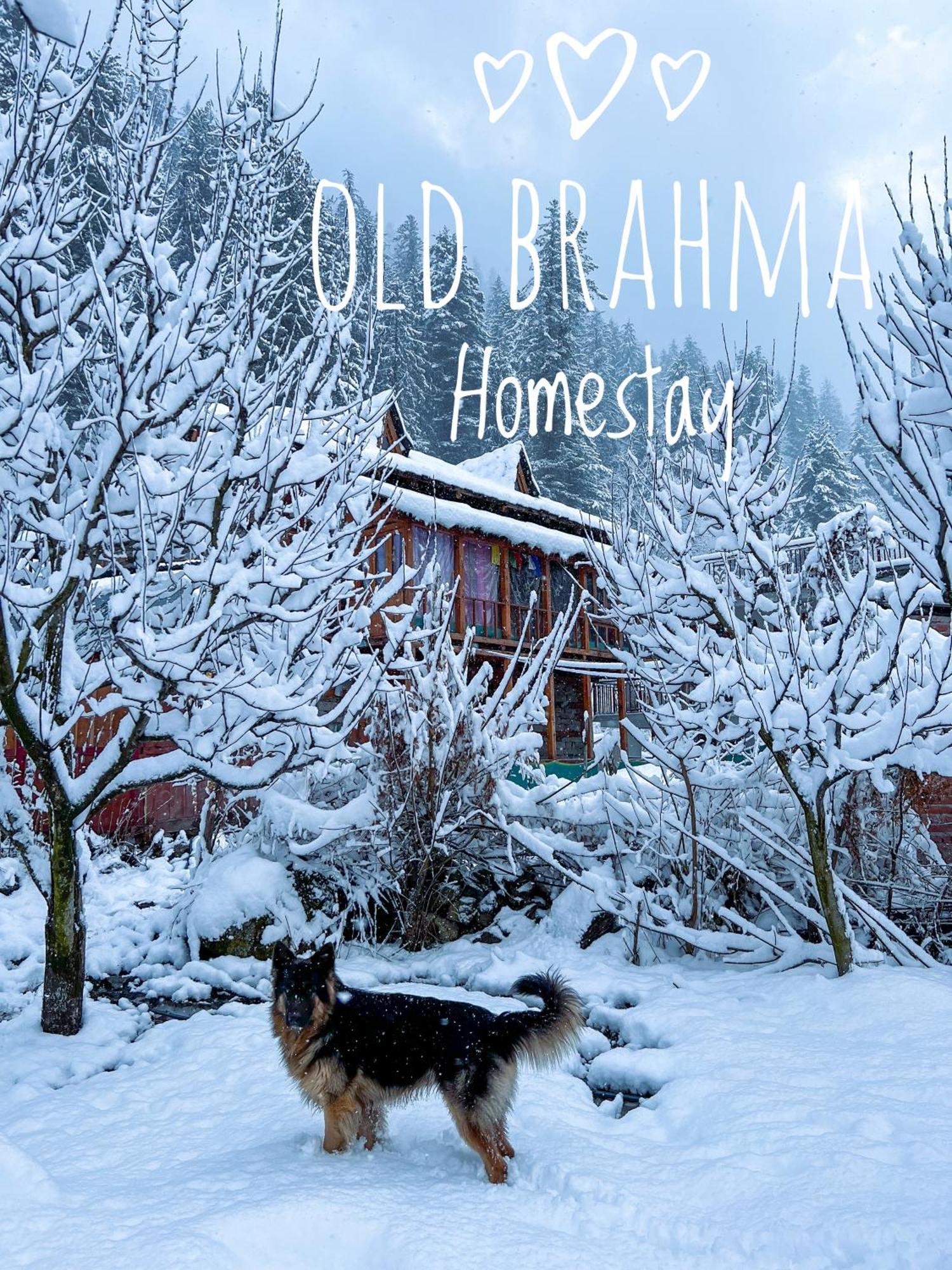 Old Brahma Homestay Kalgha Exterior photo